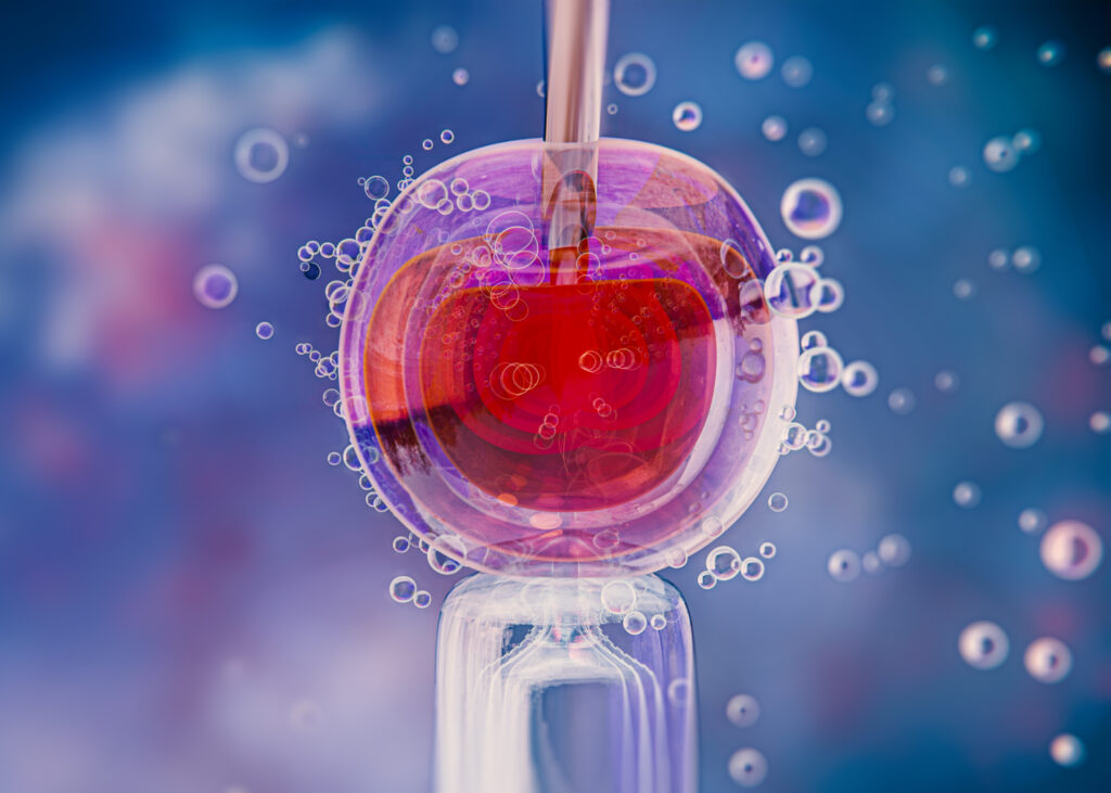 Dental Stem Cells